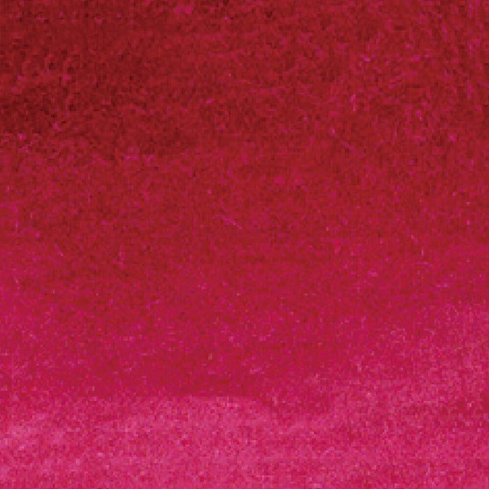 くれ竹 クリーンカラーリアルブラッシュ RB6000AT260（10セット）