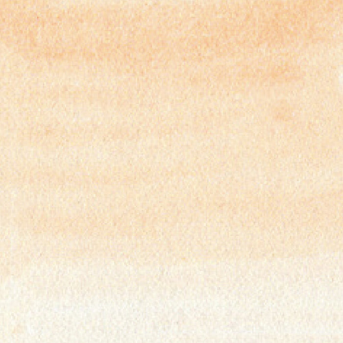 くれ竹 ＺＩＧリアルブラッシュペールオレンジ RB6000AT054　4901427296945（10セット）