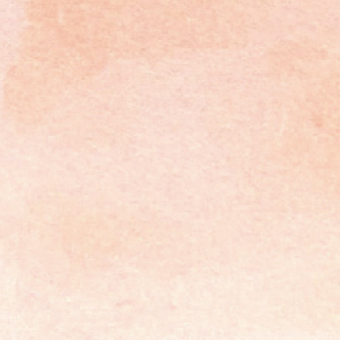 くれ竹 ＺＩＧリアルブラッシュライトベージュ RB6000AT074　4901427296976（10セット）