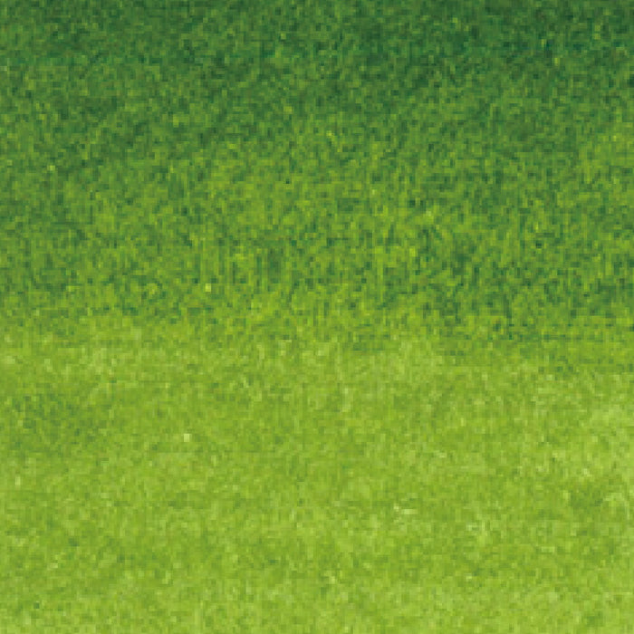 くれ竹 リアルブラッシュ４０１ RB6000AT401 4901427321203（3セット）