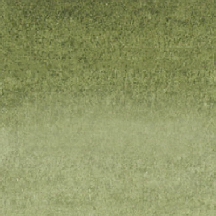 くれ竹 リアルブラッシュ４０４ RB6000AT404　4901427321234（3セット）