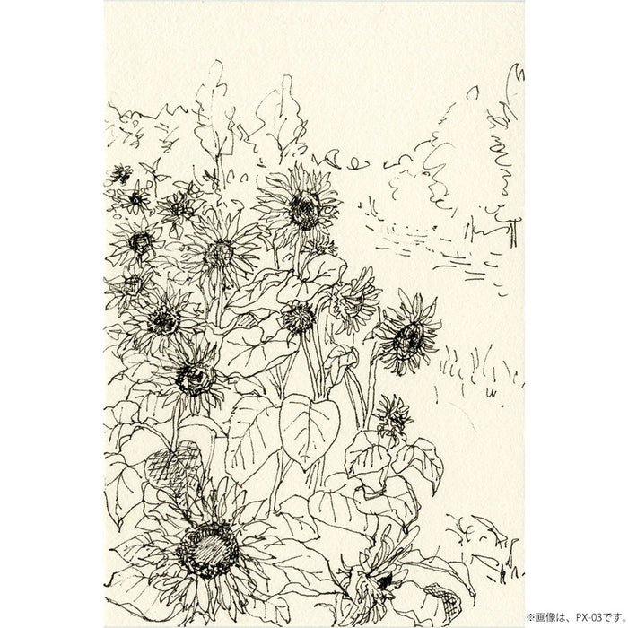 くれ竹/ﾄﾞﾛｰｲﾝｸﾞﾍﾟﾝ0.1 4901427920857