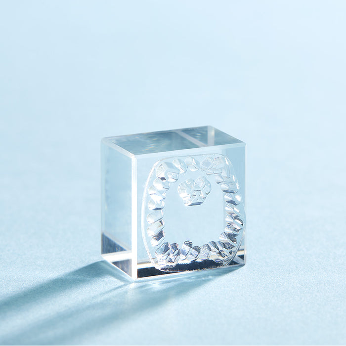 キングジム コオリジルシ（ポメラニアン） CLS22-020　4971660061518（10セット）