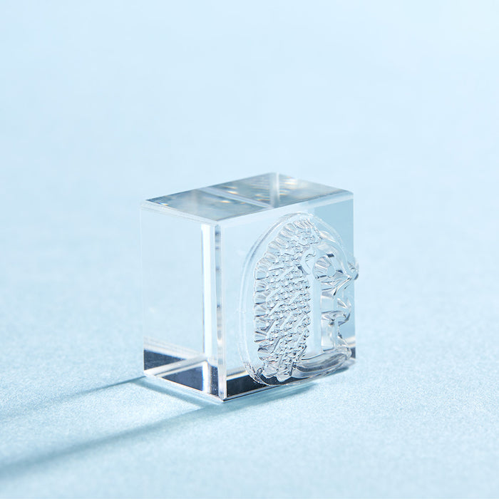 キングジム コオリジルシセツト（ドウブツ） CLSS-006　4971660061716（10セット）