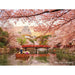 Yanoman 2308-28 Burg Himeji und Kirschblüten 4979817328927