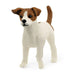Schleich 13916N 傑克羅素梗犬 4059433692142