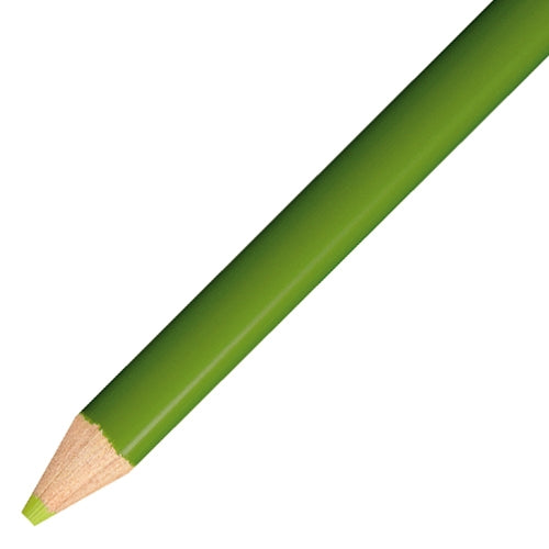 Tombow Kleurpotlood Eén Kleur 12 Stuks 1500-06 Geelgroen 4901991001266