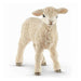Schleich 13883N Schaf (Kind) 4059433692159