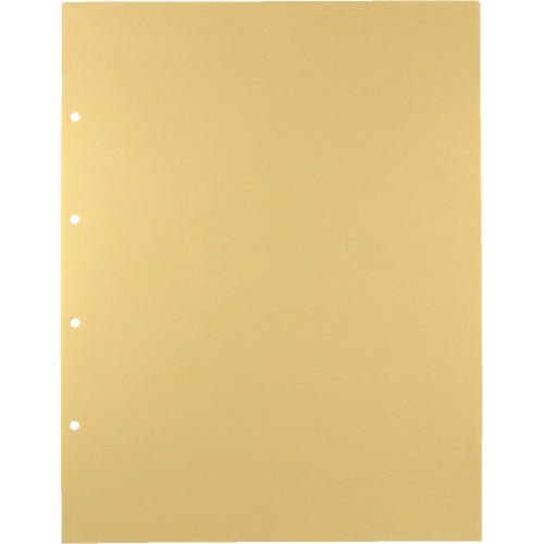 キングジム デラックス透明ポケット 105D A3S 4穴 10枚 4971660196302