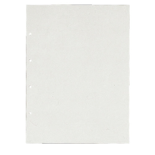 キングジム 透明ポケット 105S A3S 4穴 10枚 グレー 4971660198108