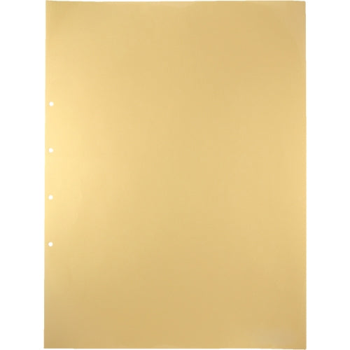 キングジム デラックス透明ポケット 107D A2S 4穴 10枚 4971660196500