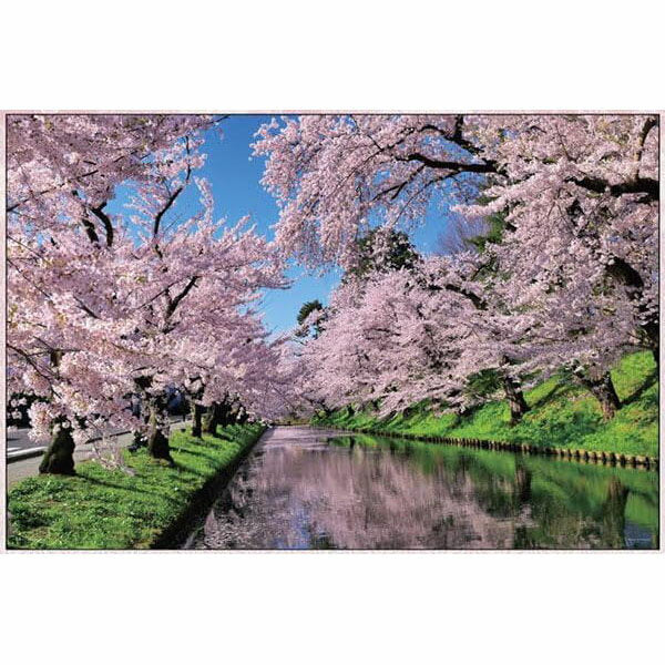 矢野满10-1455 樱云弘前公园（青森县）4979817134559