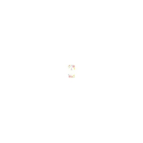 古川紙工 美濃和紙のし袋ＦＬＯＷＥ VJ251 4952270208883（5セット）