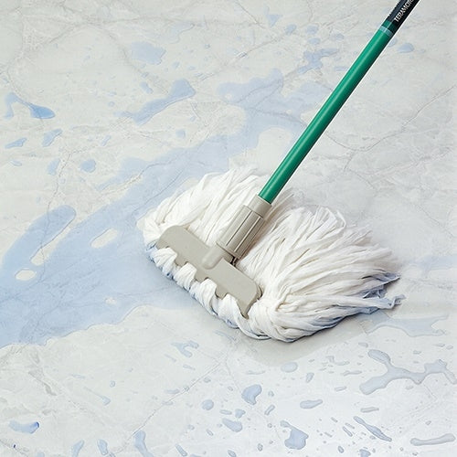 テラモト エコラーグ24cm 100g 100枚入 CL-363-024-0 4904771647906