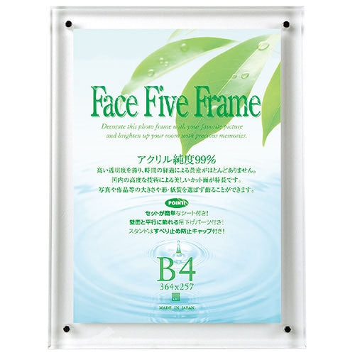 アートプリントジャパン フェイスファイブフレーム クリア B4 4966005736688