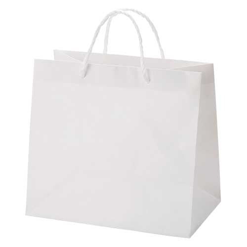 HEIKO 広口チャームバッグ M-1 10枚 6442100 4901755590029