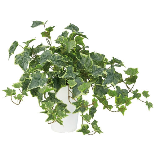 PLUS（プラス）オフィス家具 人工樹木 グレイシアアイビー 90853　