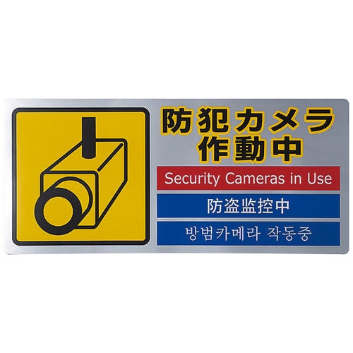 光 ピクトステッカー 防犯カメラ作動 SEC291-1 4977720291116