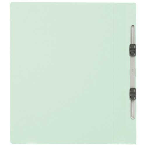 30 positive flat file No. 021N A4S blue