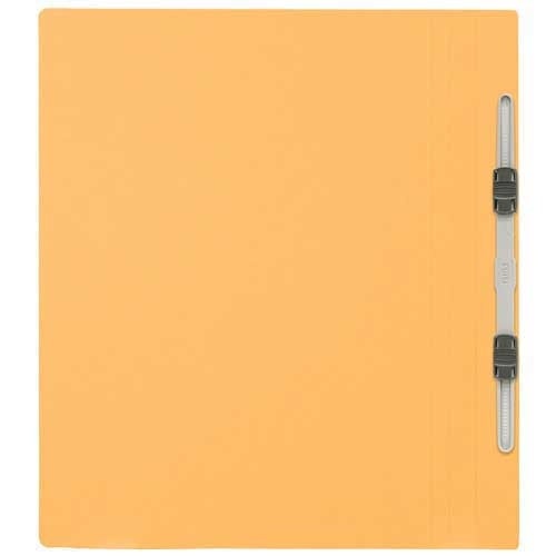 Ten positive flat file No. 021N A4S yellow