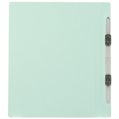 Ten positive flat file 031N B5S blue