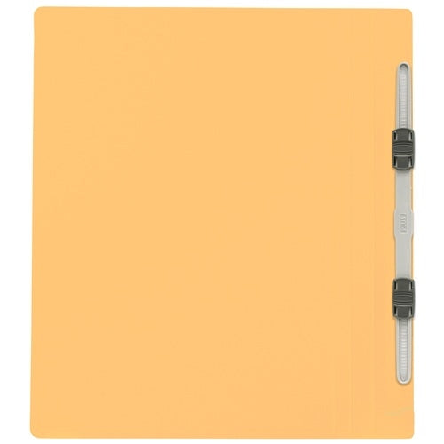 Ten positive flat file 031N B5S yellow