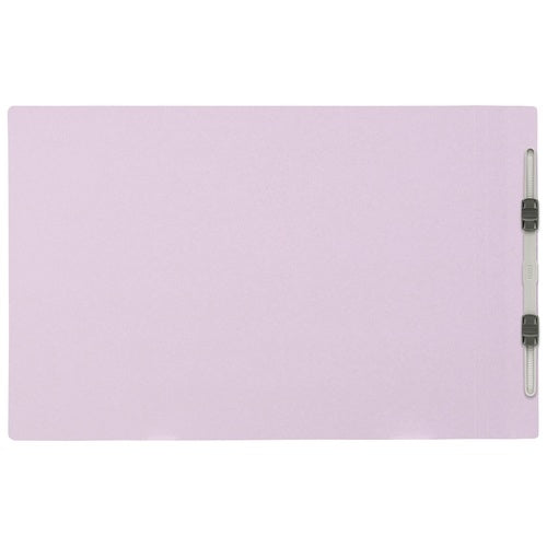 Positive flat file 012N B4E purple ten books