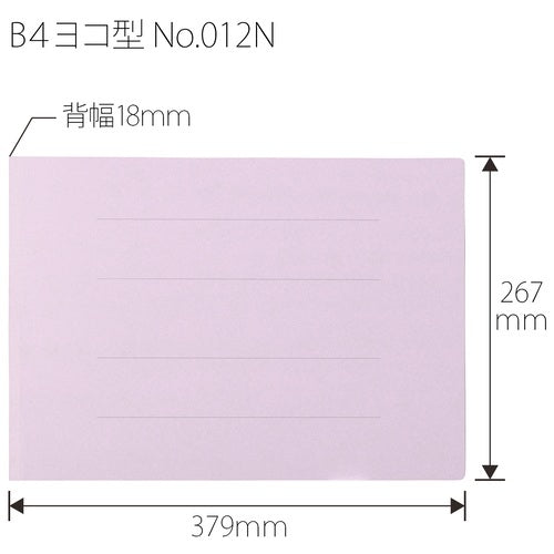 Positive flat file 012N B4E purple ten books