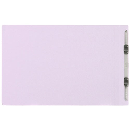 Positive flat file No. 022N A4E purple ten books