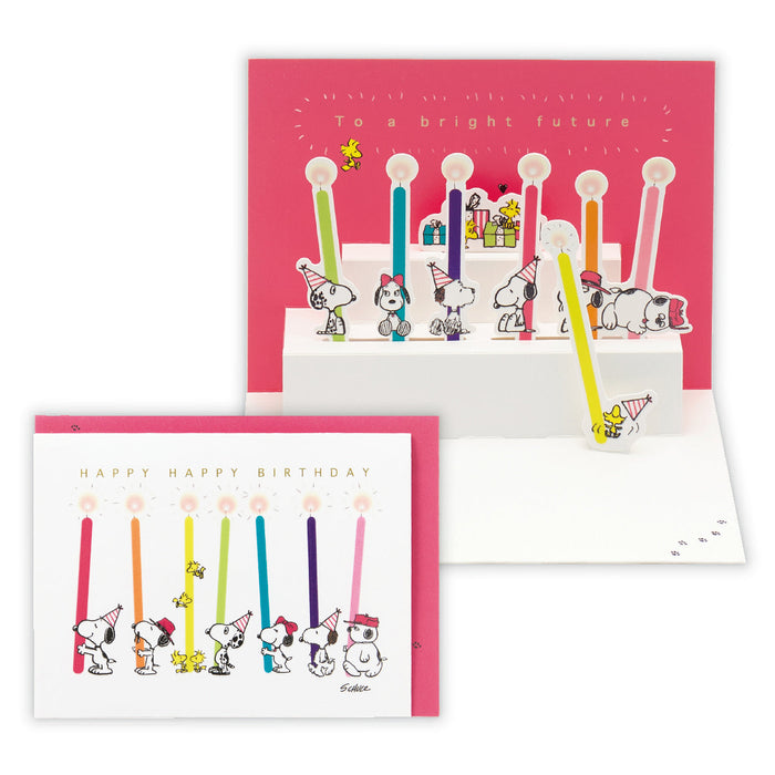 日本Hallmark GHB 3D SN Brothers and Rain 817251 4961099817251（6套）