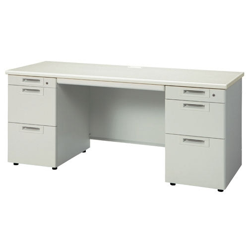 PLUS（プラス）オフィス家具 両袖机 RJ-166D-33 LGY/LGY エルグレー　