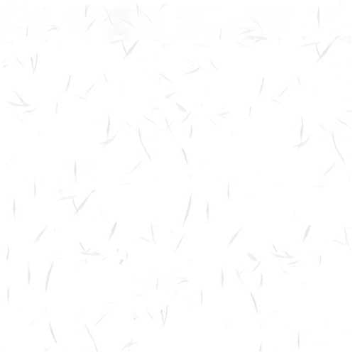 長門屋商店 和み紙 ナ-761 A4 大礼しろ25枚 4961411507617