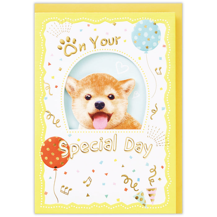 Japan Hallmark Happy Mate Shiba Inu [ฉลองวันเกิด/การ์ด 3 มิติ] 840242 4961099840242 (ชุด 6 ชิ้น)