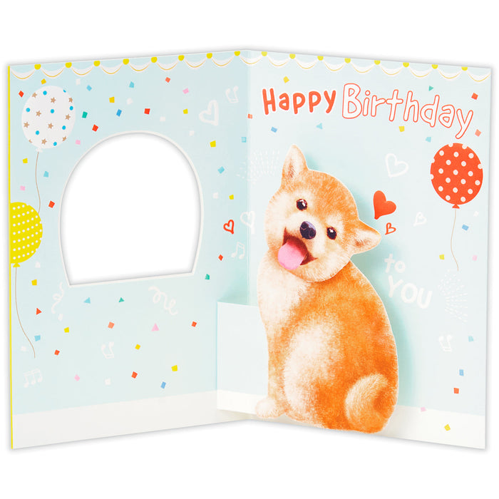 Japan Hallmark Happy Mate Shiba Inu [ฉลองวันเกิด/การ์ด 3 มิติ] 840242 4961099840242 (ชุด 6 ชิ้น)