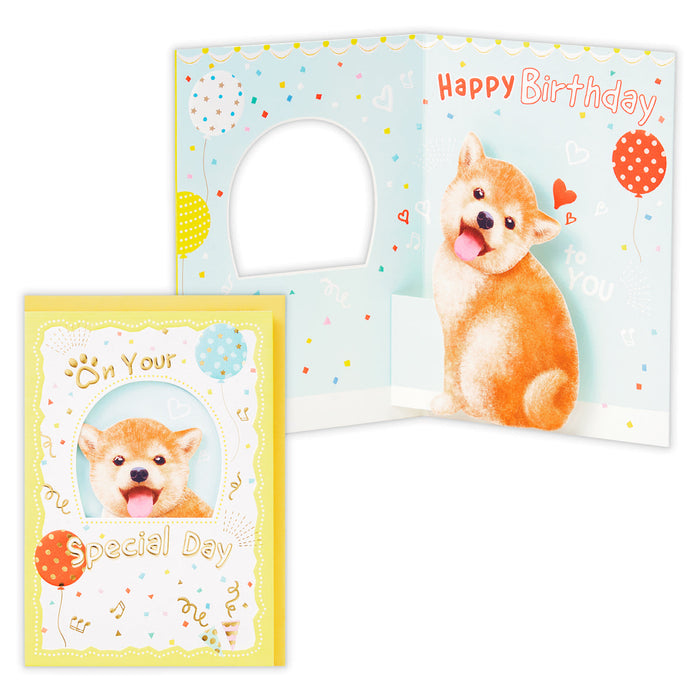Japan Hallmark Happy Mate Shiba Inu [ฉลองวันเกิด/การ์ด 3 มิติ] 840242 4961099840242 (ชุด 6 ชิ้น)
