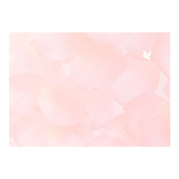 ミドリ/ﾚﾀｰｾｯﾄ134ﾊﾅｲﾛﾉｷﾓﾁ 4902805861342（10セット）