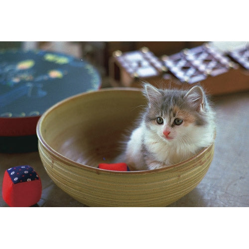 スマートバリュー 写真用光沢紙A4 100枚 A029J 4547345048022