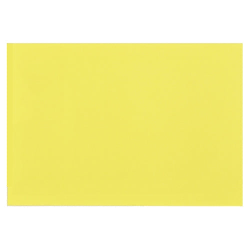 大王製紙 再生色画用紙 8ツ切10枚 ひよこ 4902011344394