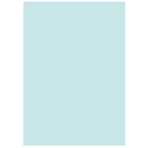 Hokuetsu Corporation Büropapier Farbe R100 A5 Blau 500 Blatt *10 4515152009420