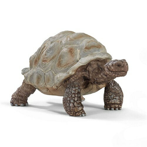Schleich 14824 Giant Tortoise 4055744033667