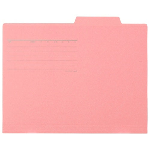 Ten pieces of positive individual folder FL-061IF A4E peaches