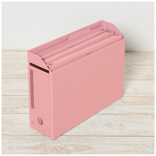 Ten pieces of positive individual folder FL-061IF A4E peaches