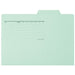Ten pieces of positive individual folder FL-067IF B5E blue
