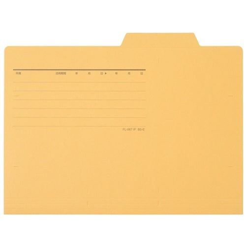 Ten pieces of positive individual folder FL-067IF B5E yellow