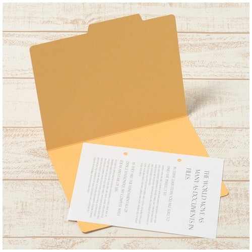 Plus Individual Folder FL-066IF A5E Yellow 10 sheets