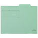Ten pieces of positive individual folder FL-001IF A4E green
