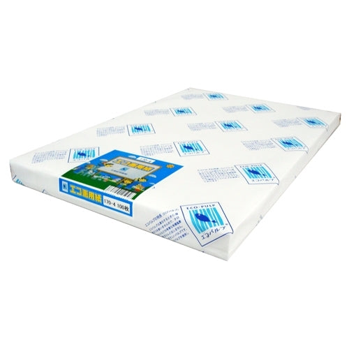 北越コーポレーション エコ画用紙 4ツ切 特厚 100枚 170-4 4535449170046
