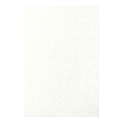 ミドリ/はがきﾊﾟﾙﾊﾟｰｼﾛ 4902805881500