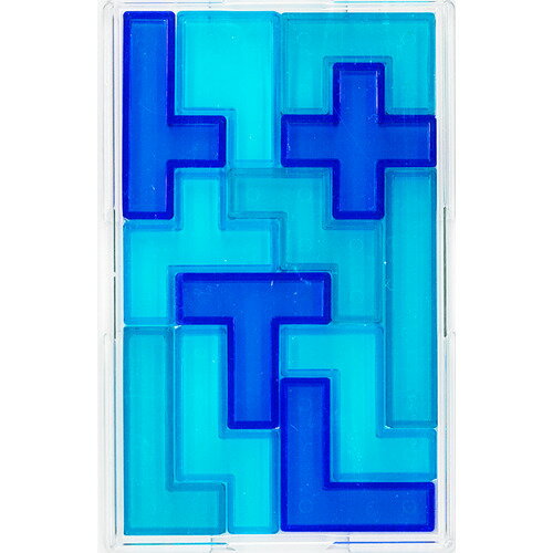 テンヨー TBB-02 ペントミノ(脳ブロック) 4905823311103