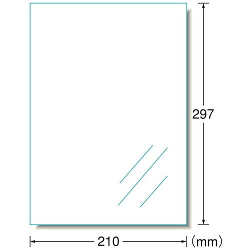 エーワン フィルムラベル 28793 透明ツヤ消 A4 10枚 4906186287937